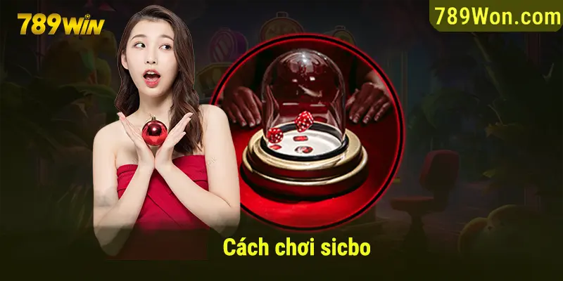 Hướng dẫn cách chơi Sicbo