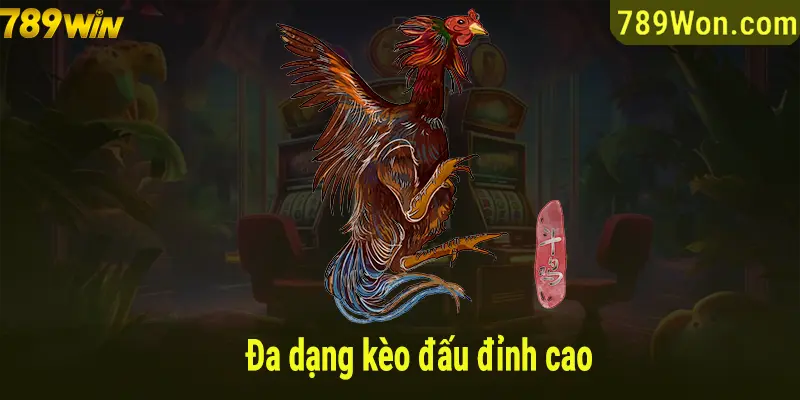 Đa dạng kèo đấu đỉnh cao