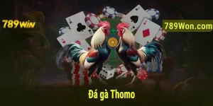 đá gà thomo