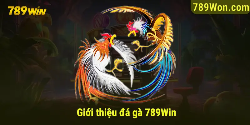 Giới thiệu đôi nét về chuyên mục đá gà 789win