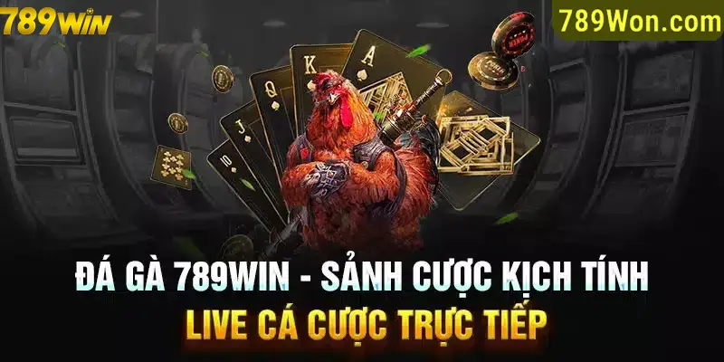 Live đá gà trực tuyến đỉnh cao