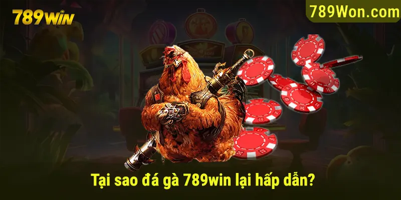 Lý do đá gà 789win được đông đảo mọi người yêu thích