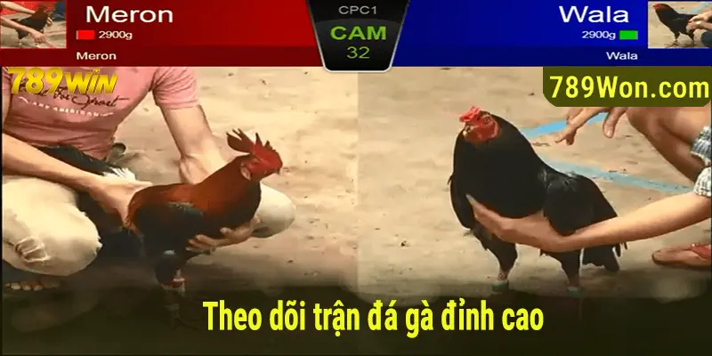 Theo dõi nhiều trận đấu