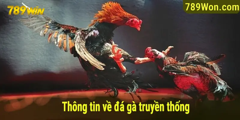 Khái quát thông tin về đá gà truyền thống