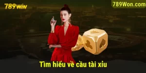 tìm hiểu về cầu tài xỉu